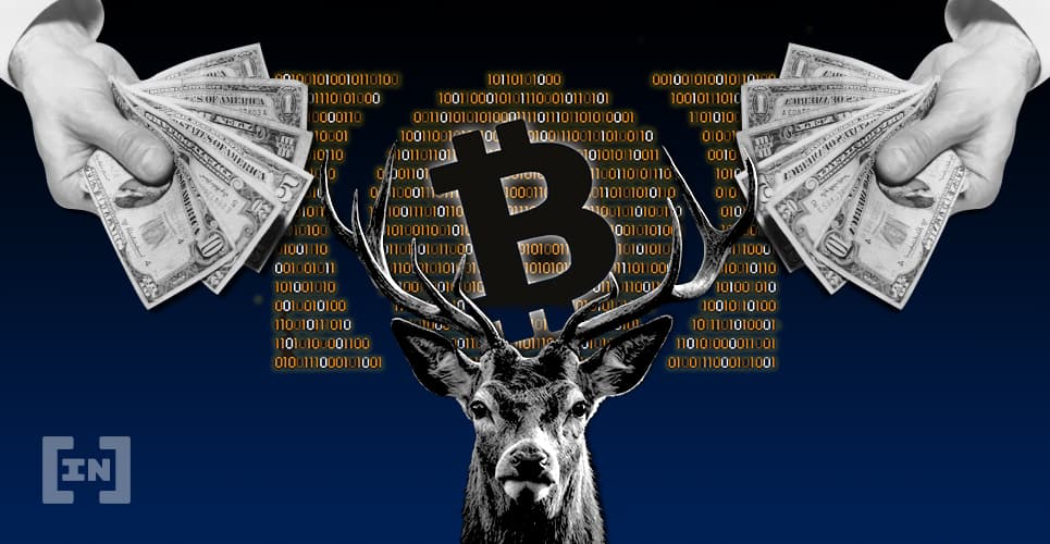 Cập nhật tình hình Bitcoin Cash trước sự kiện Hard Fork: Động lực tăng thấy rõ, hình thành hỗ trợ mới
