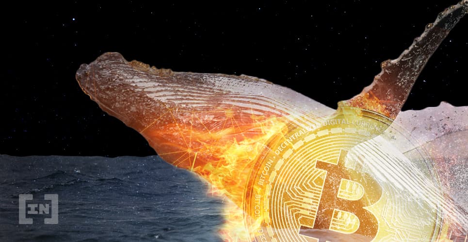 Cá voi dịch chuyển BTC lên sàn, giá điều chỉnh 5%