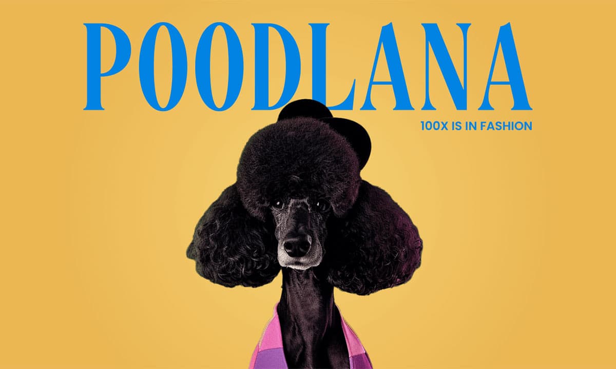 Meme coin Poodlana (POODL) &#8211; Tạo sự mong chờ cho lần ra mắt tại thị trường châu Á