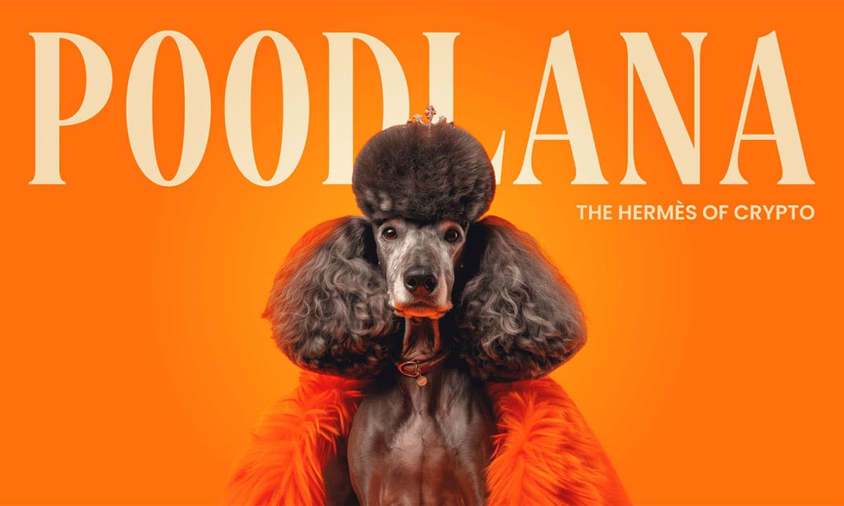 Poodlana (POODL): Kết thúc đợt presale, huy động được 7.1 triệu USD