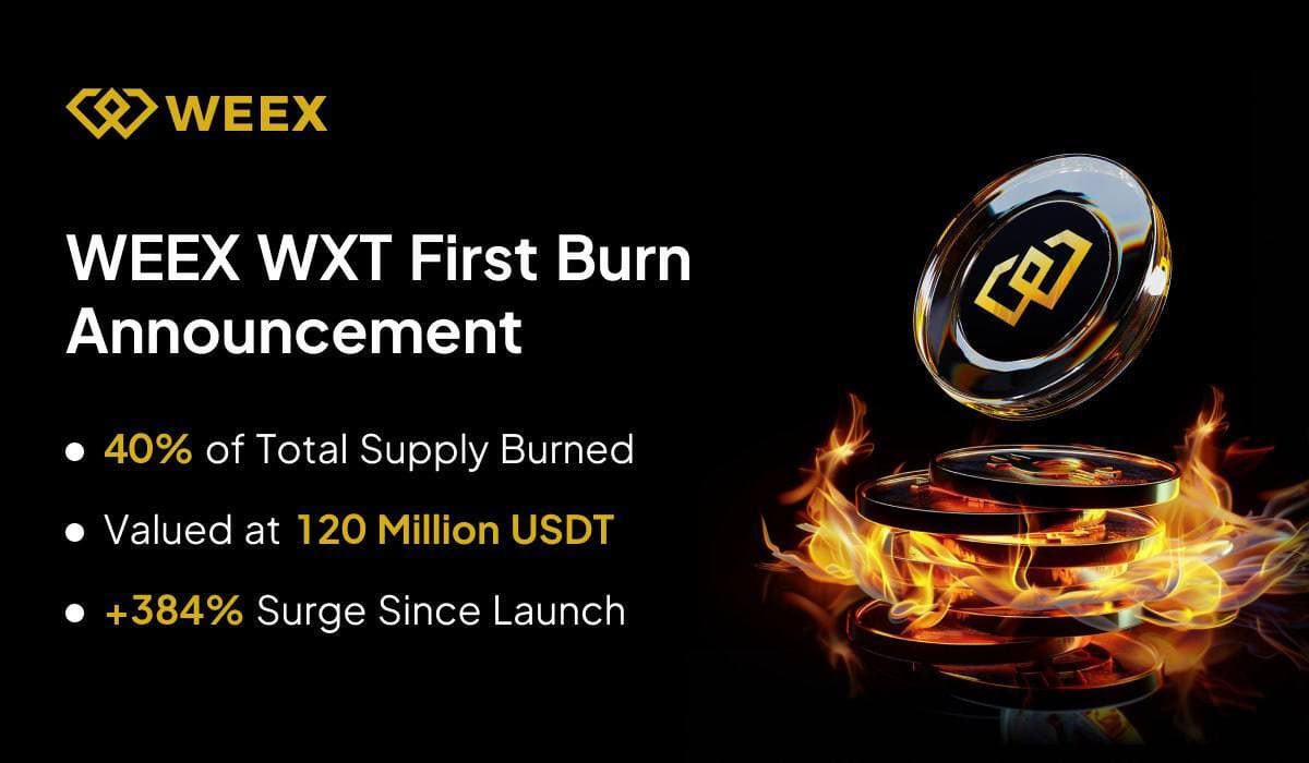WEEX đốt 120 triệu USD token WXT. Đây có phải là hidden gem tiếp theo?