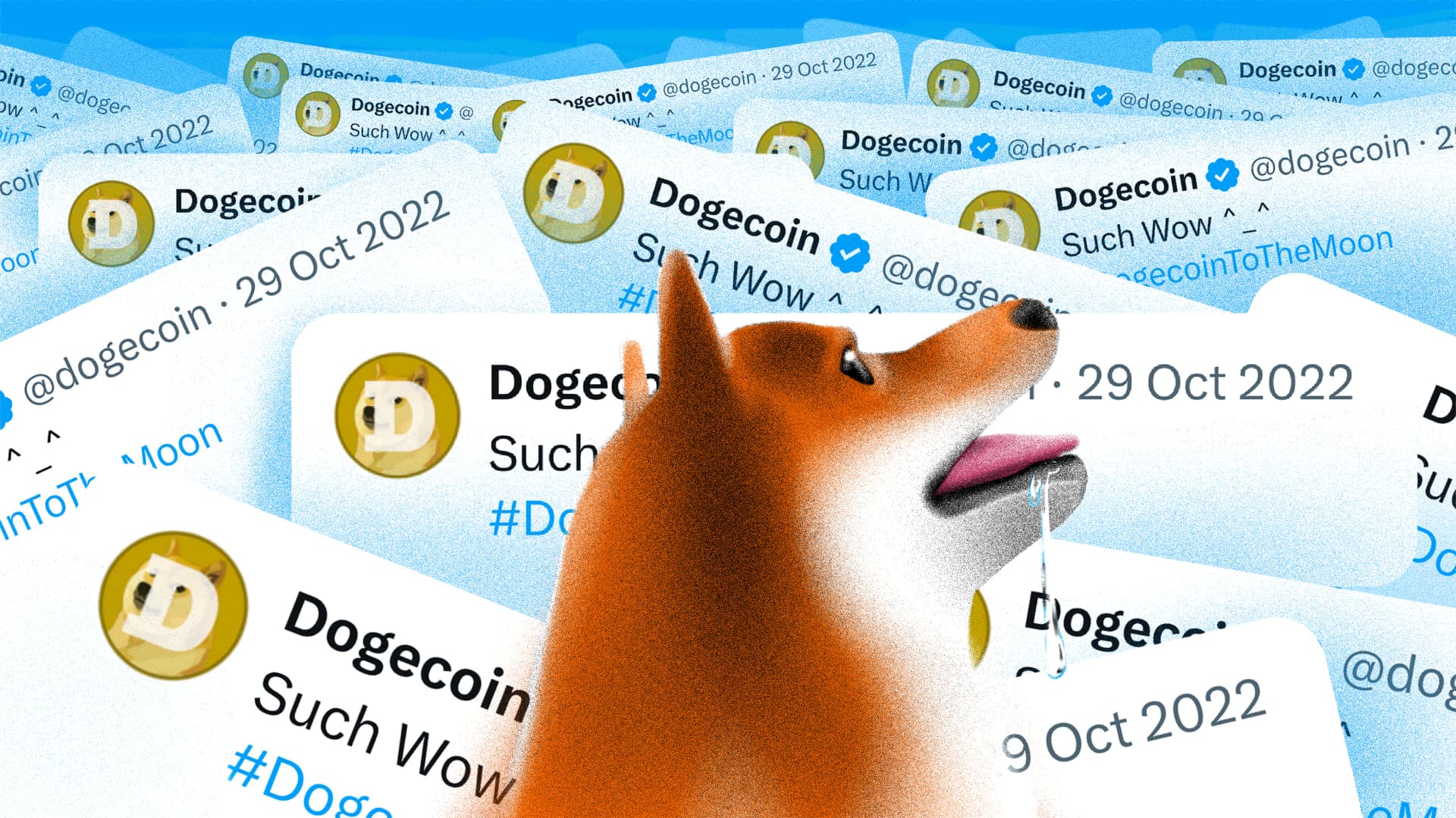 FOMO Dogecoin sắp đến? Những yếu tố thúc đẩy trong tháng 08 cần theo dõi chặt chẽ