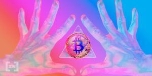 “Cá voi” góp phần tạo nên cú sốc về nguồn cung Bitcoin hiện tại