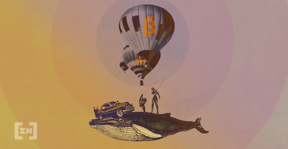 Số lượng cá voi Bitcoin tăng lên nhưng ít giàu có hơn, nhiều hợp đồng quyền chọn sắp hết hạn