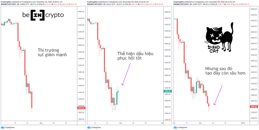 Ví dụ về một biến động giá "dead cat bounce"