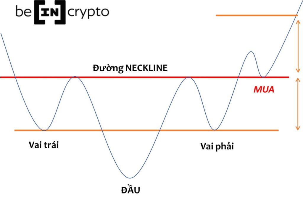 mô hình vai đầu vai ngược
