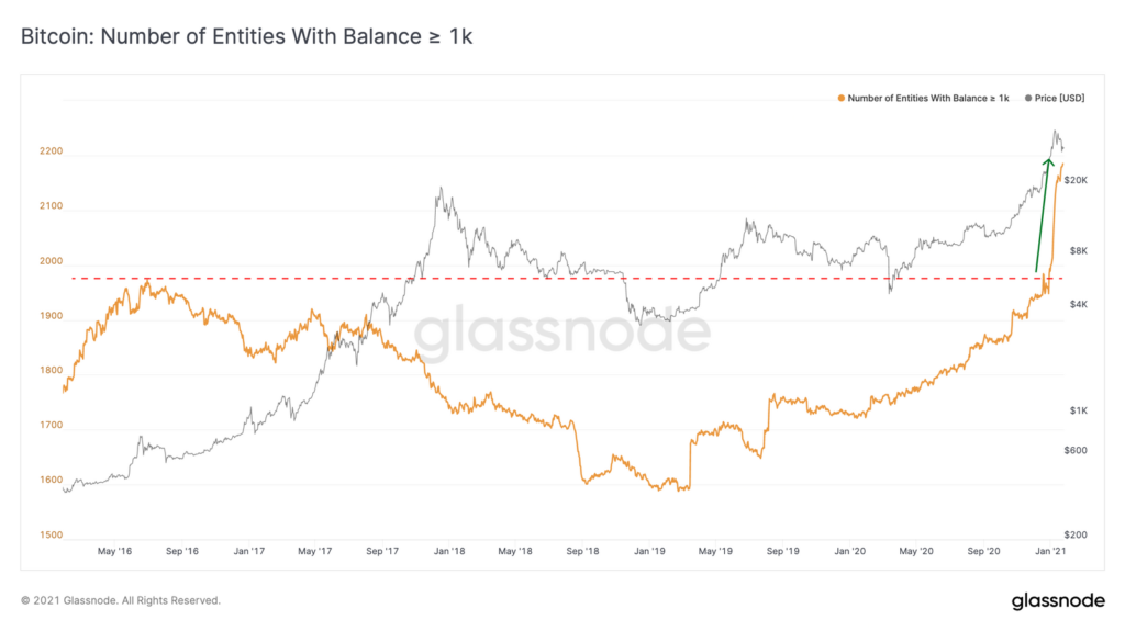 Thị trường đã có thêm 185 cá voi Bitcoin mới kể từ đầu năm, tăng 11% trong tháng 1
