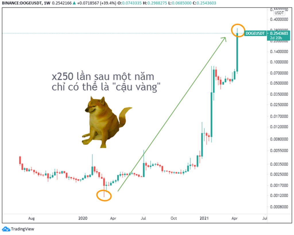 Bạn có kiếm lời được gì với DOGE trong giai đoạn tăng trưởng thần kỳ này?