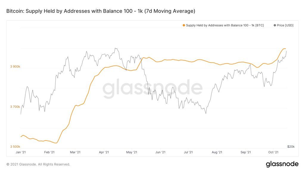 Số lượng địa chỉ nắm giữ từ 100 - 1,000 BTC tăng cao. Nguồn: glassnode.