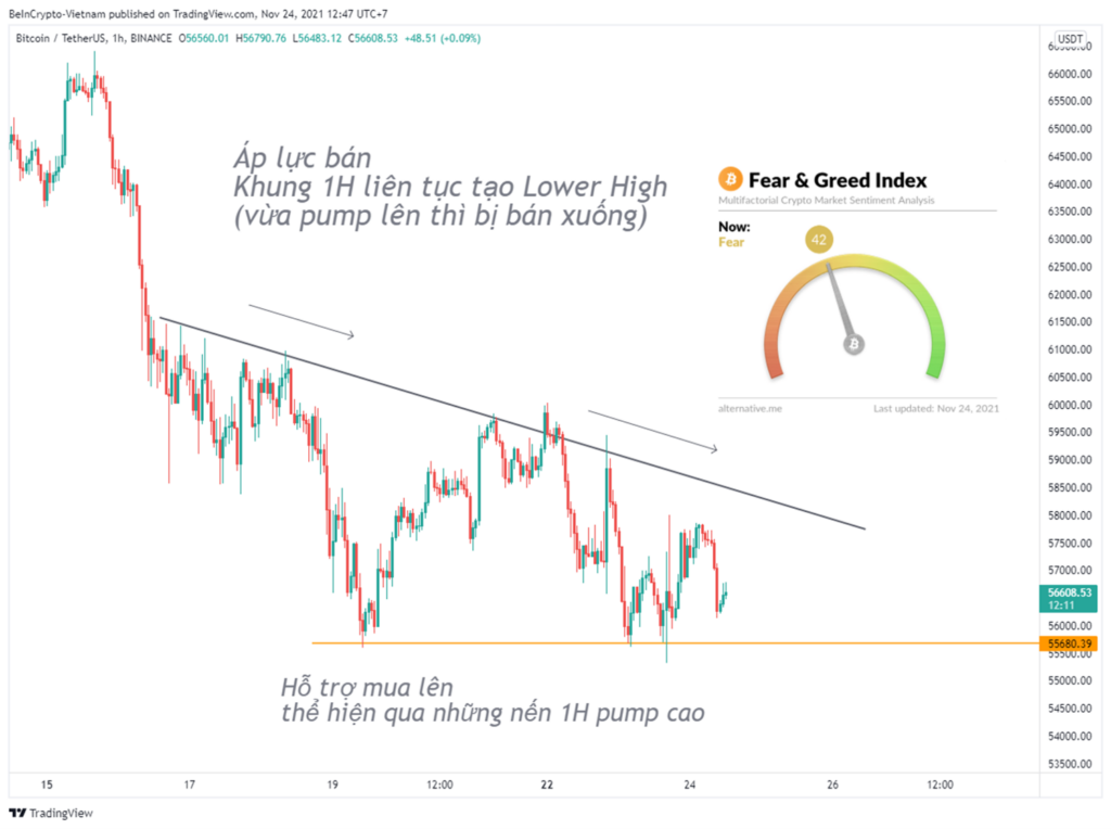 Biến động giá Bitcoin khung 1H, tình trạng thị trường sợ hãi được ghi nhận.