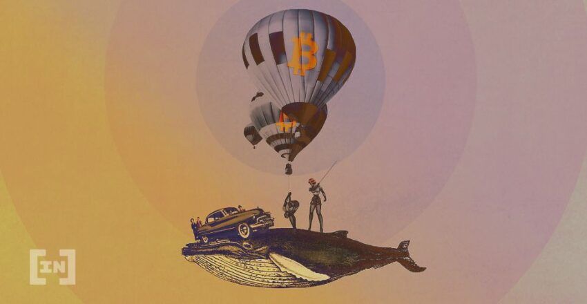 “Cá voi Bitcoin” âm thầm tích lũy ba tháng qua, bạn có đang bán BTC của mình cho “cá voi”?