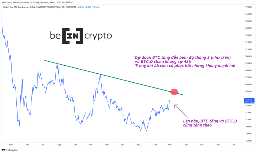 Quan sát Bitcoin Dominance và dự đoán kịch bản.