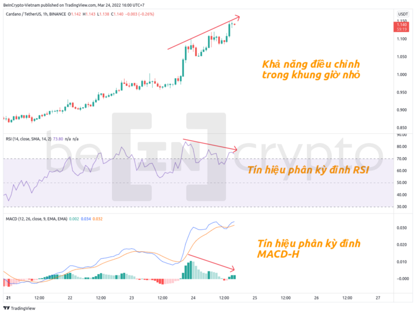 Phân tích kỹ thuật ADA cho thấy tín hiệu phân kỳ đỉnh. Nguồn: Beincrypto Vietnam.