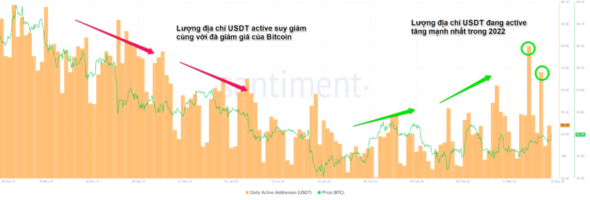 Tương quan giữa lượng địa chỉ ví USDT đang active và giá Bitcoin. Nguồn: Santiment.