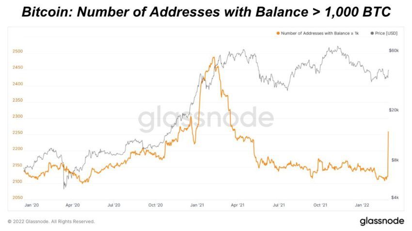 Sự trở lại bất ngờ của ví cá mập hơn 1,000 BTC. Nguồn: Glassnode.