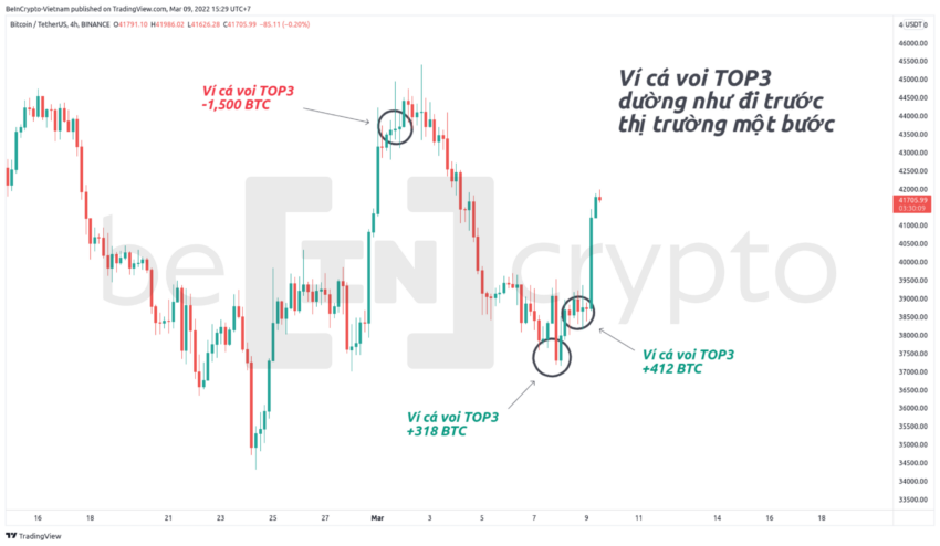 Giá Bitcoin và hoạt động của ví cá voi rất "phù hợp" với nhau. Nguồn ảnh: Beincrypto.vn