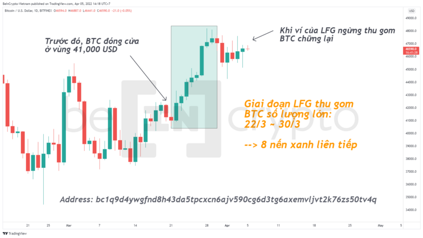 So sánh giá Bitcoin và hoạt động thu mua BTC của LFG. Nguồn: Vn.Beincrypto.com