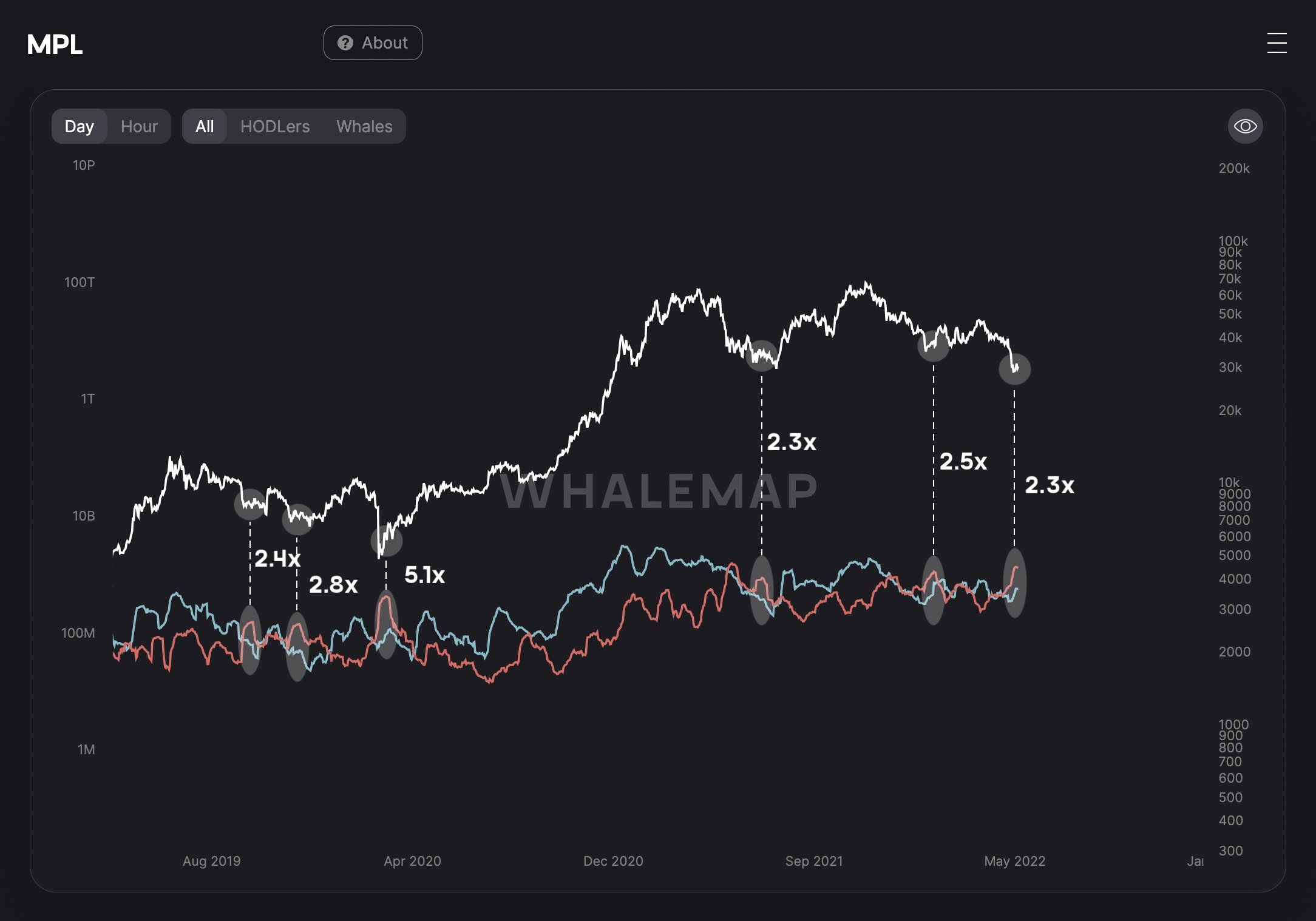 Tỷ lệ lời/lỗ trên chuỗi. Nguồn: Whalemap