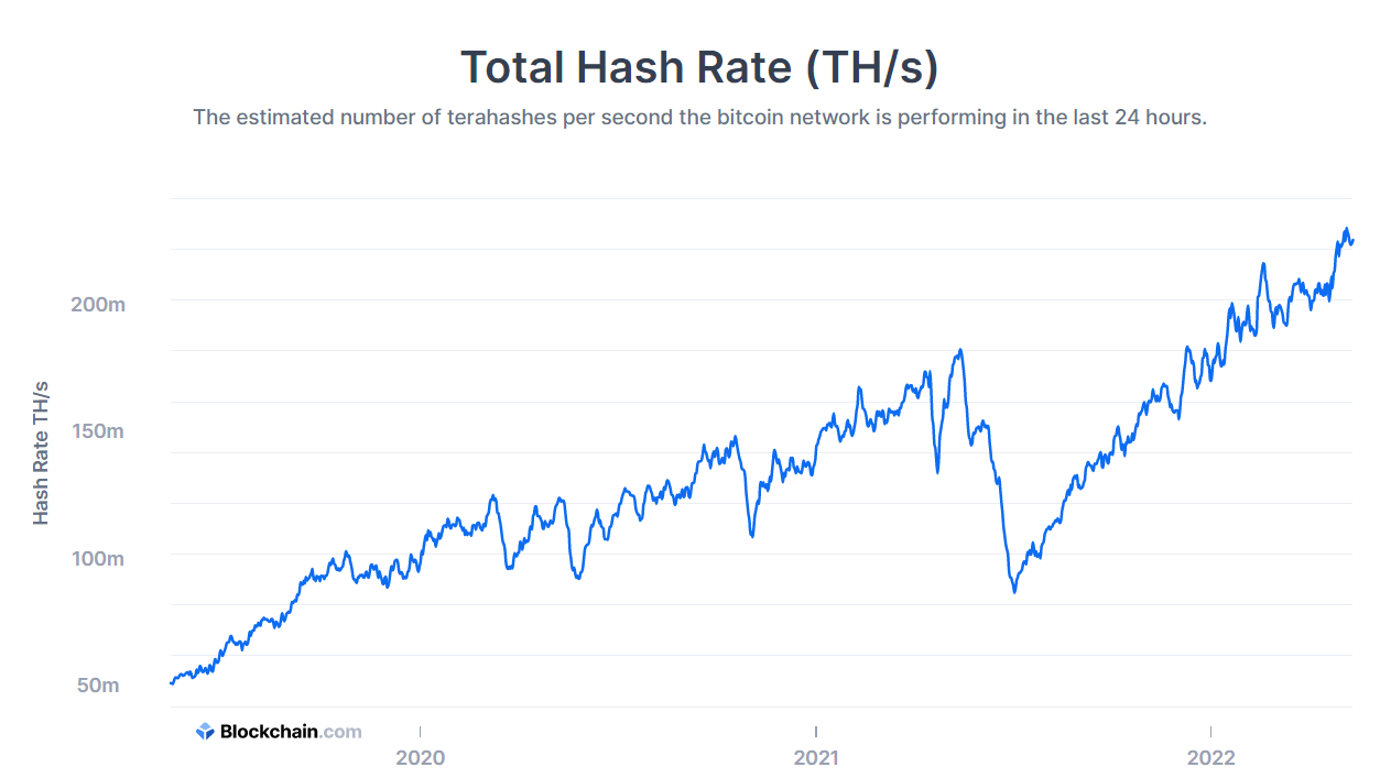 Bitcoin Hashrate lập ATH. Nguồn: blockchain.com