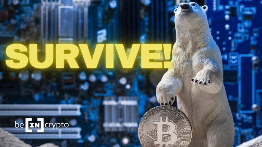 Thị trường gấu: Chiến lược đầu tư tiền điện tử nâng cao