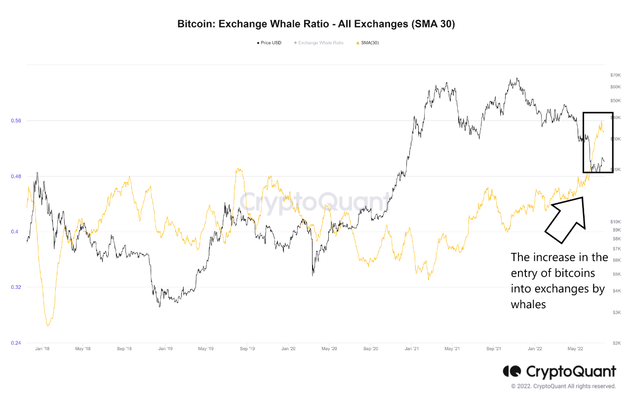 Bitcoin Exchange Whale Ratio - All Exchanges. Nguồn: ghoddusifar/cryptoquant.