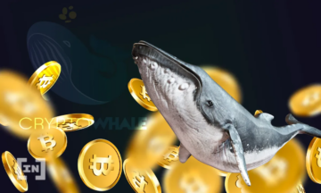 Một cá voi mới tham gia thị trường vừa mua vào 3 tỷ USD BTC