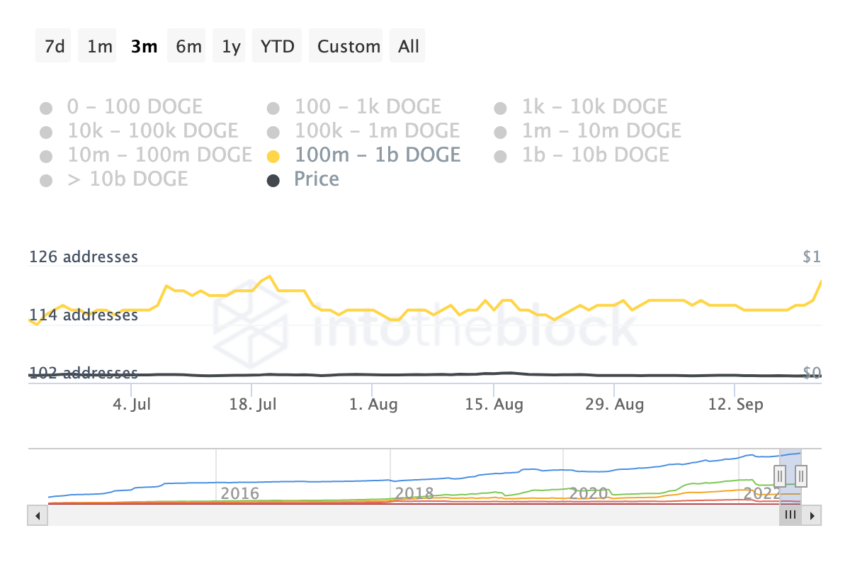 Số lượng địa chỉ nắm giữ 100 triệu - 1 tỷ DOGE | Nguồn: IntoTheBlock