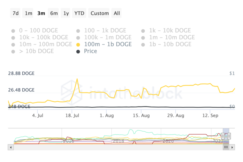 Số lượng DOGE được nắm giữ | Nguồn: IntoTheBlock