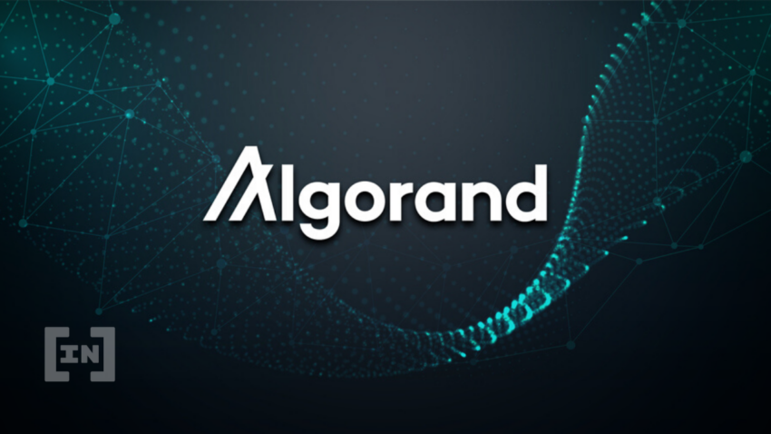 Algorand (ALGO) tìm cách thu hồi khoản đầu tư 35 triệu USD từ Hodlnaut