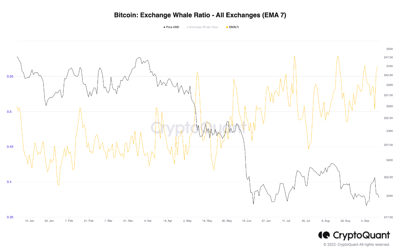 Bitcoin Exchange Whale Ratio. Nguồn: CryptoQuant.