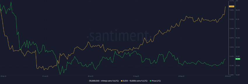 Cá voi Litecoin | Nguồn: Santiment