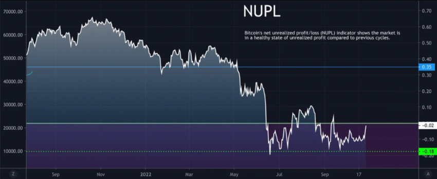 Bitcoin NUPL | Nguồn: CryptoQuant