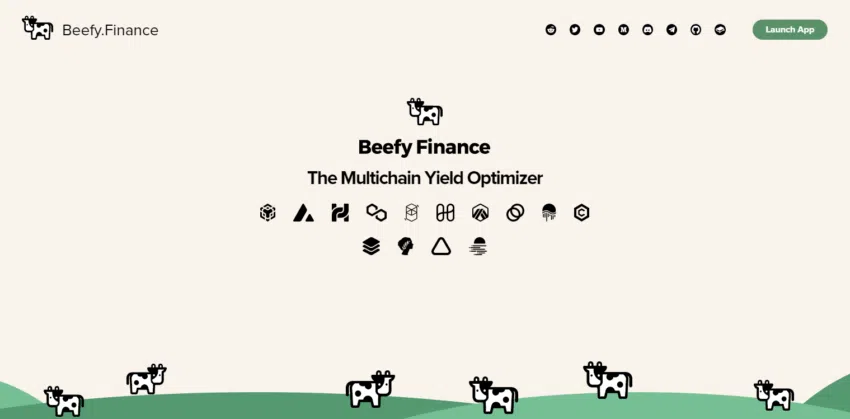 Khái niệm Beefy Finance là gì?