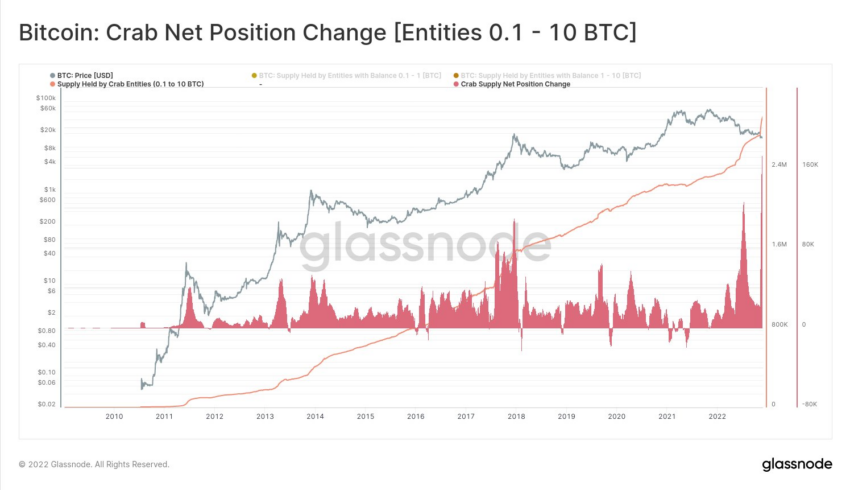 Tôm Bitcoin nắm giữ cũng ở mức cao nhất mọi thời đại trong 30 ngày qua. Nguồn: Twitter