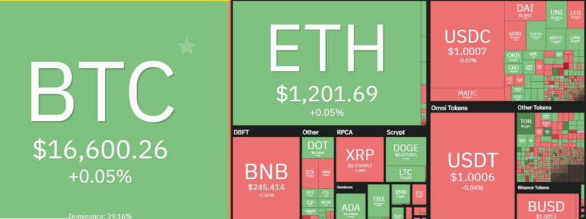 Hiệu suất Bitcoin, Ethereum theo Coin360