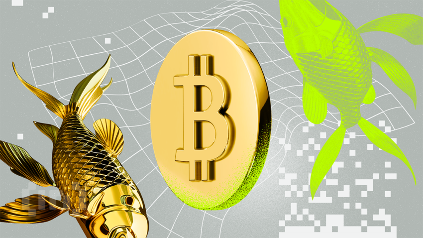 Mối tương quan giữa giá Vàng và Bitcoin đang ở mức cao của hơn 5 năm qua
