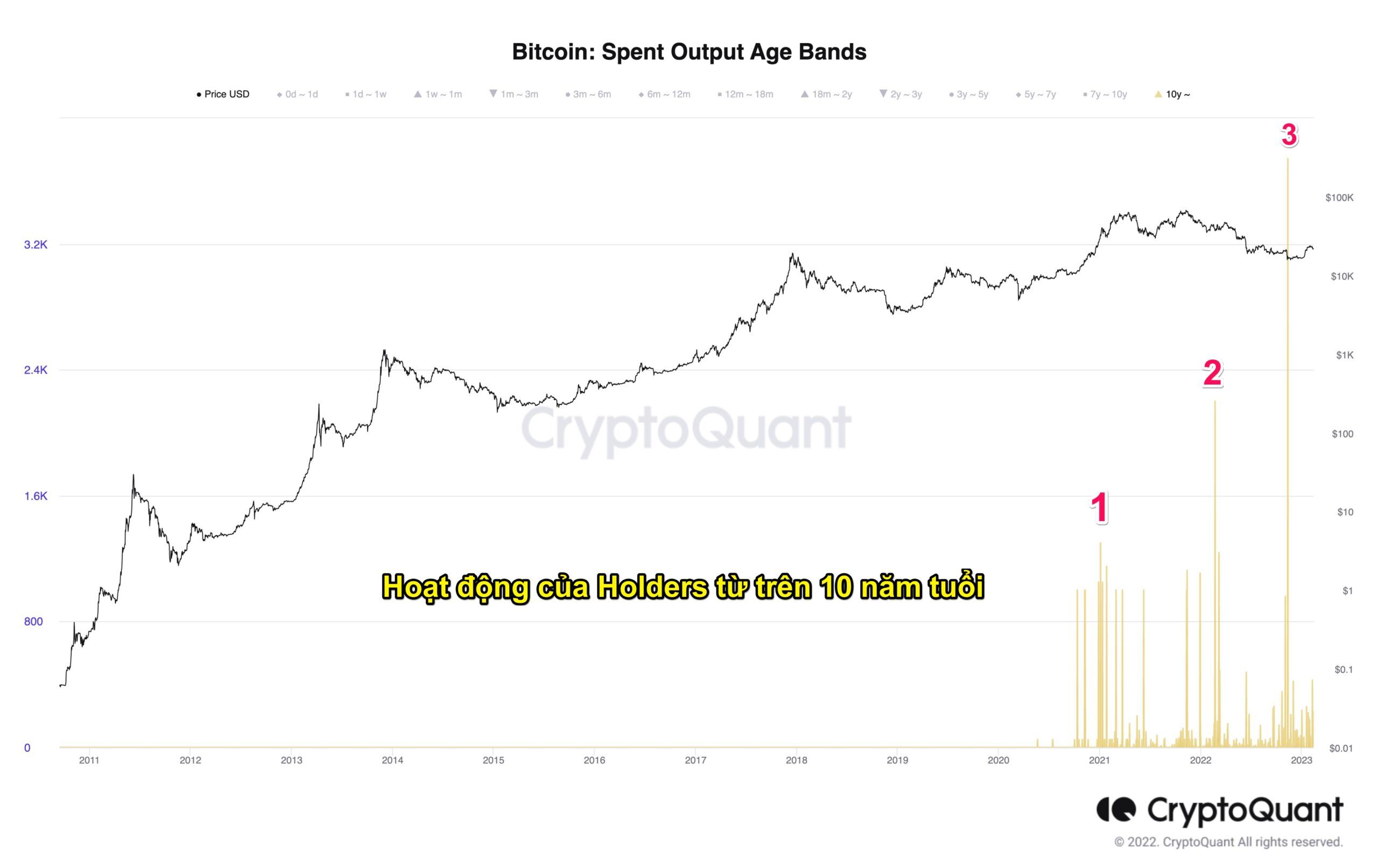 Bitcoin Spend Output Age Bands. Nguồn: CryptoQuant.