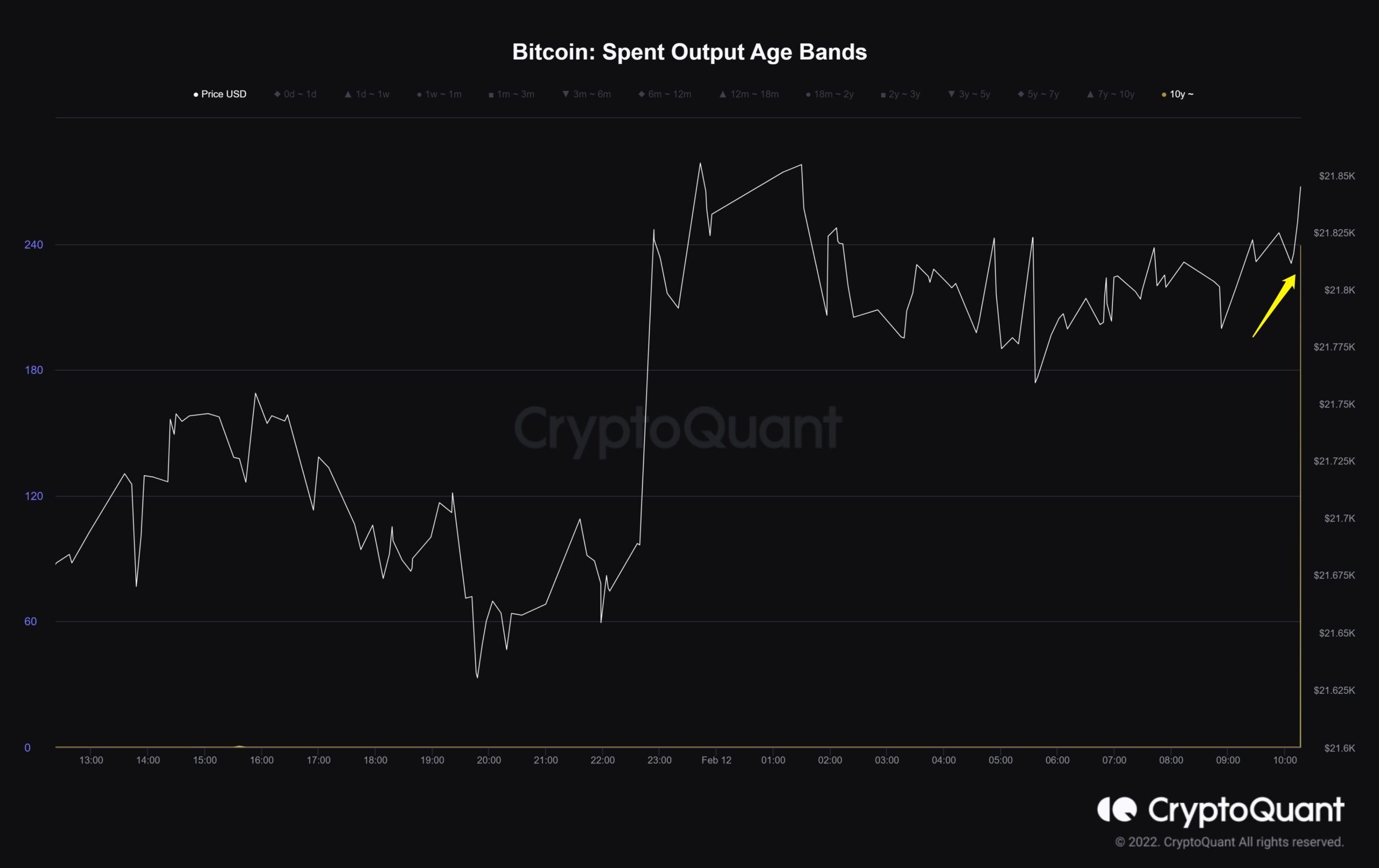 Bitcoin Spend Output Age Bands gần đây . Nguồn: CryptoQuant.