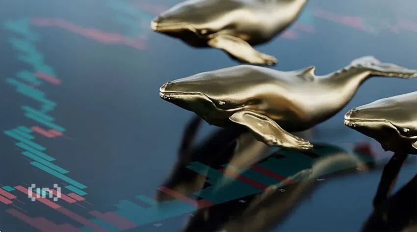 Đầu tư BTC dựa trên những động thái của cá voi Bitcoin