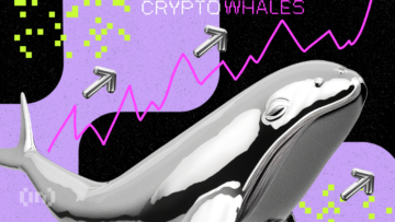Top 3 altcoin được cá voi “điên cuồng” tích lũy trong tuần qua