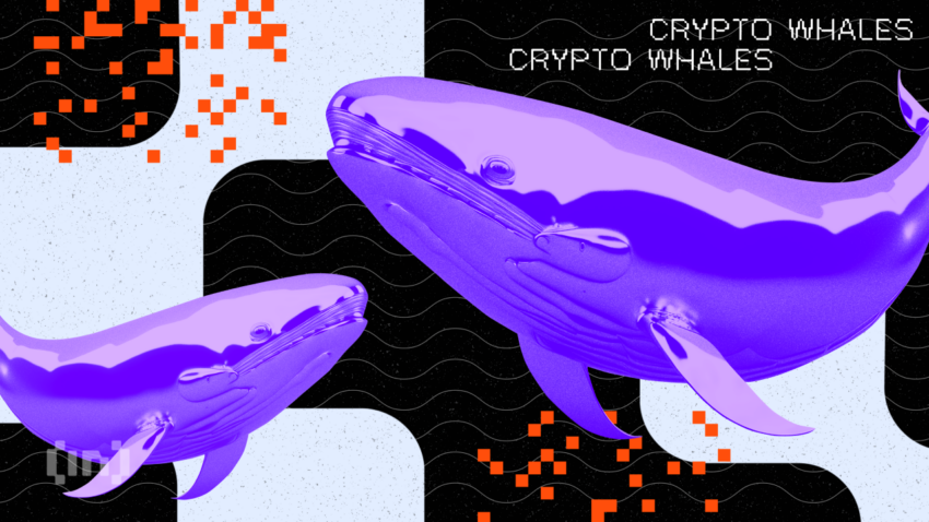 Cá voi Bitcoin 10 năm tuổi hoạt động trở lại. Tín hiệu này dự đoán điều gì?