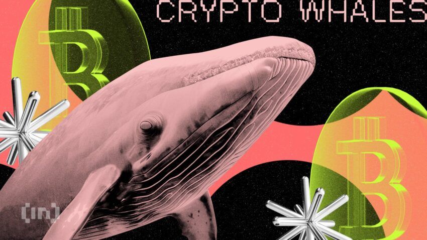 Cá voi bitcoin 12 năm tuổi đã di chuyển 139 BTC. Liệu giá BTC có ảnh hưởng?