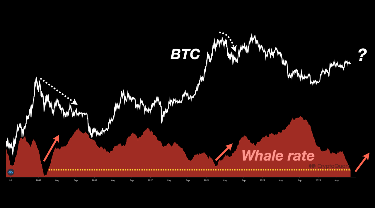 Exchange Whale Ratio trong 5 năm qua. Nguồn: CryptoQuant/SignalQuant