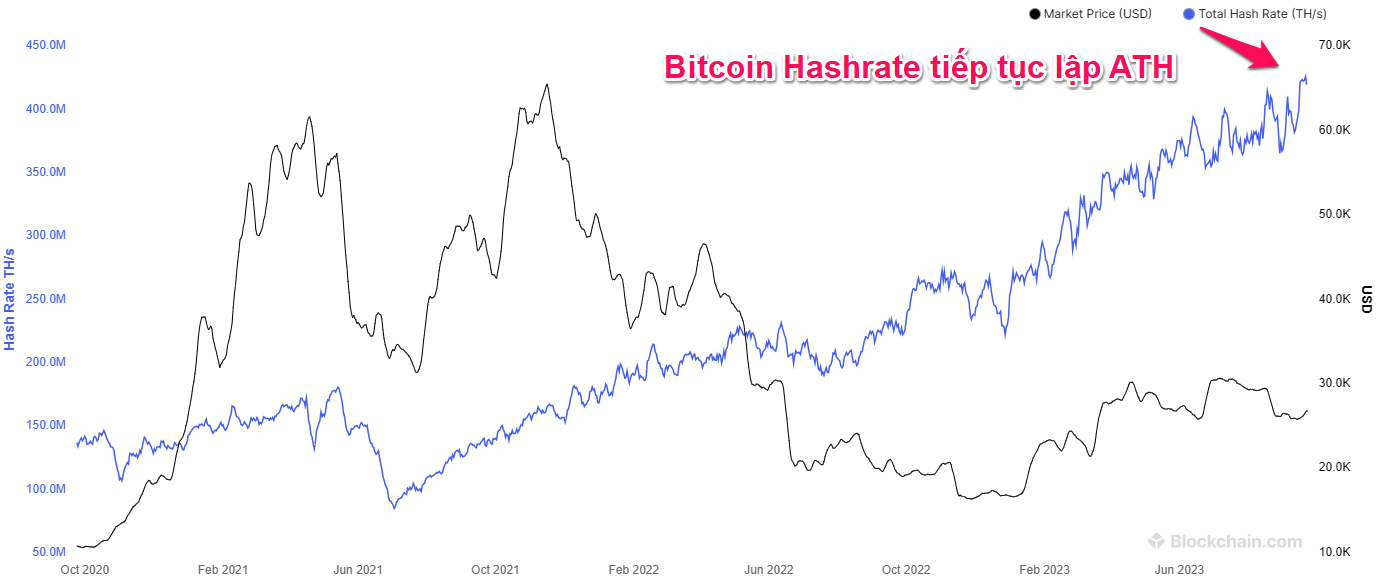 Biến động giá Bitcoin và Bitcoin Hashrate. Nguồn: Blockchain.com