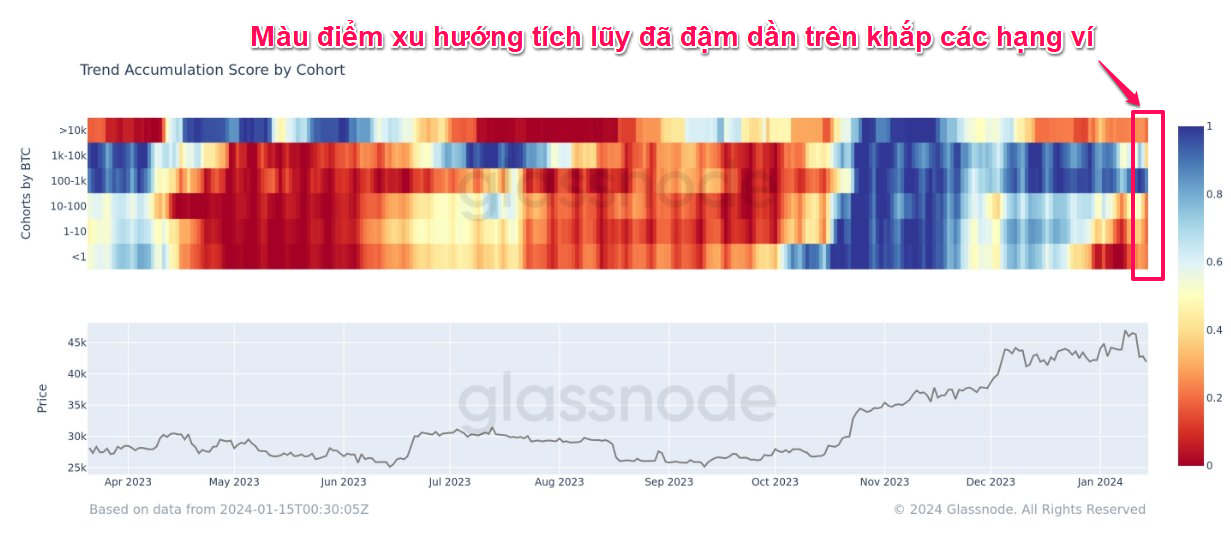 Điểm xu hướng tích lũy theo màu sắc. Nguồn: glassnode.