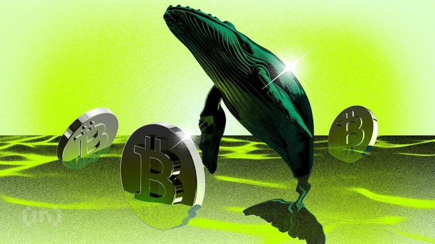 Sau giao dịch mua trị giá 6.2 tỷ USD của cá voi, liệu Bitcoin có thể tăng lên 57,000 USD?