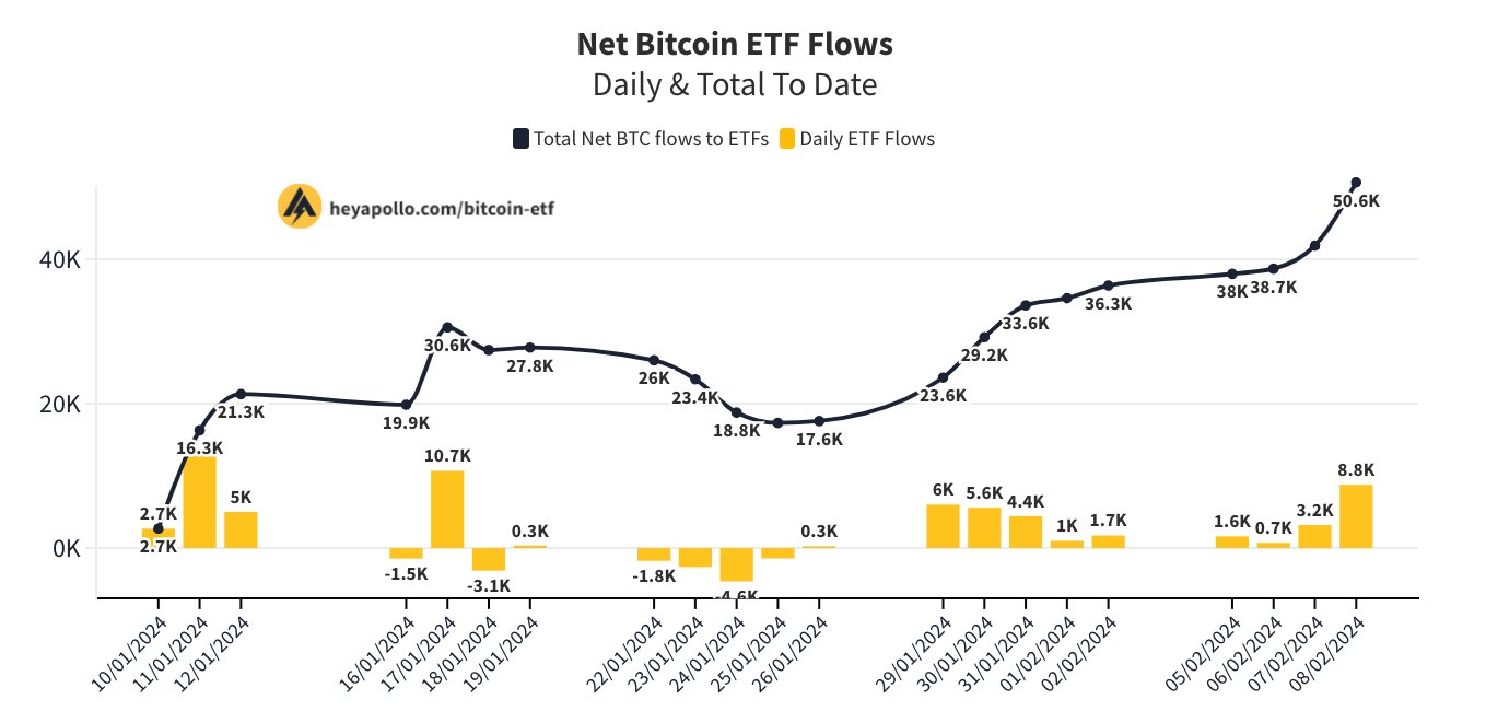 Net Bitcoin ETF Flow. Nguồn: heyapollo