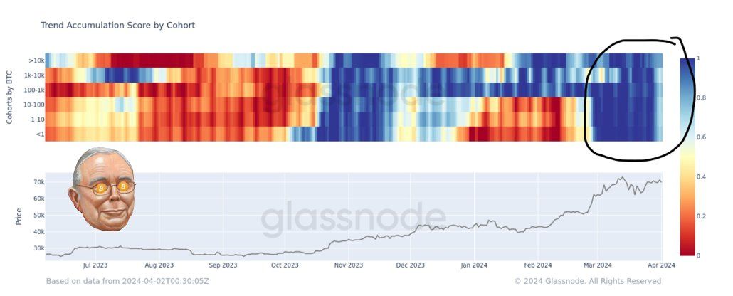 Bitcoin Trend Accumulation Scrore by Cohort. Nguồn: glassnode/@bitcoinmunger