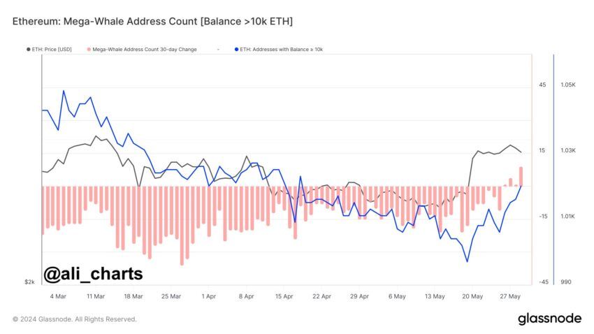 Bằng chứng cho thấy Ethereum (ETH) đang được tích lũy bởi các Mega ...