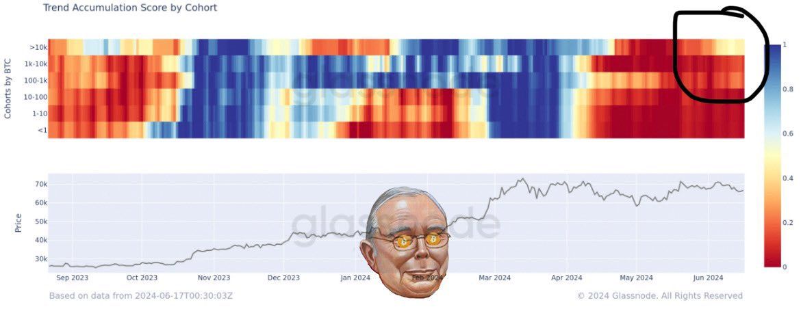 Bitcoin Accumulation Trend Score. Nguồn: glassnode/bitcoinmunger 